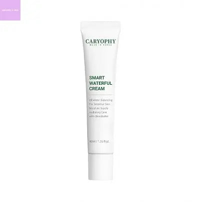 [CARYOPHY] Smart Waterful Cream 40ml seoul vibe