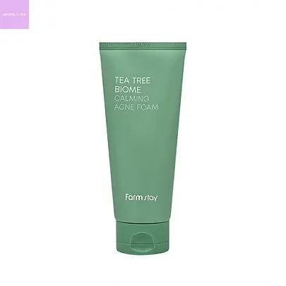 [Farmstay] Tea Tree Biome Calming Acne Foam 180ml Hanul Hanbok